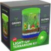 Light-Up Terrarium Kit for Kids